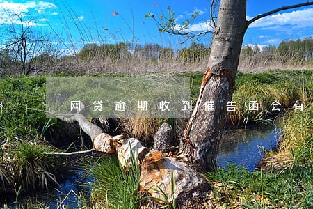 网贷逾期收到催告函会有什么后果 网贷逾期收到催告函会有什么后果