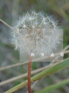网贷逾期收到催告函信件 网贷逾期收到催告函信件