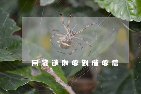 网贷逾期收到催收信 网贷逾期收到催收信