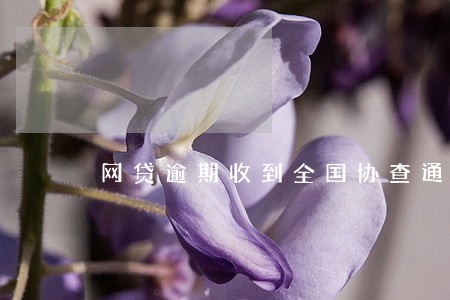 网贷逾期收到全国协查通知