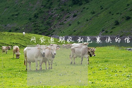 网贷逾期收到包裹侠的信息 网贷逾期收到包裹侠的信息