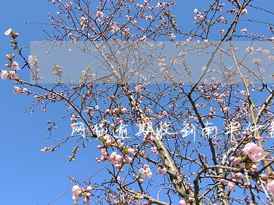 网贷逾期收到南平仲裁邮件 网贷逾期收到南平仲裁邮件