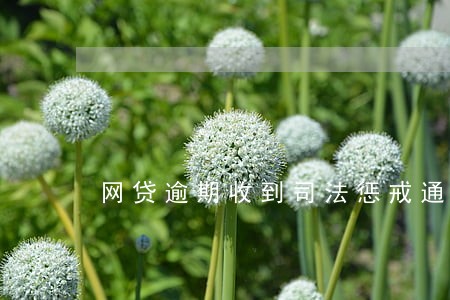 网贷逾期收到司法惩戒通告 网贷逾期收到司法惩戒通告