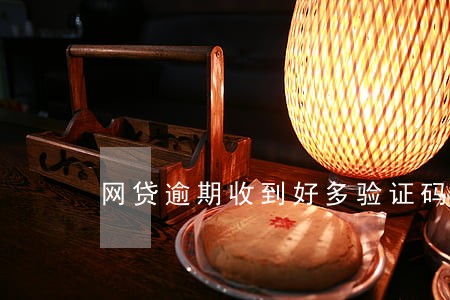 网贷逾期收到好多验证码咋回事 网贷逾期收到好多验证码咋回事