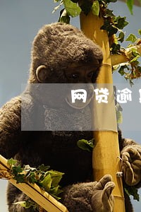 网贷逾期收到威胁信息 网贷逾期收到威胁信息