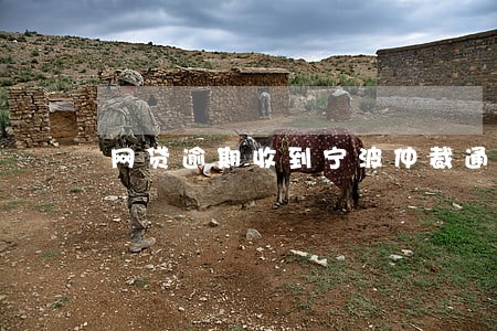 网贷逾期收到宁波仲裁通知 网贷逾期收到宁波仲裁通知