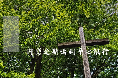 网贷逾期收到平安银行 网贷逾期收到平安银行