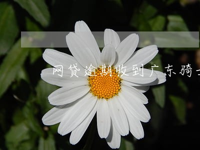网贷逾期收到广东骑士律师函 网贷逾期收到广东骑士律师函