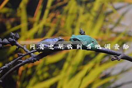 网贷逾期收到当地调查部短信 网贷逾期收到当地调查部短信
