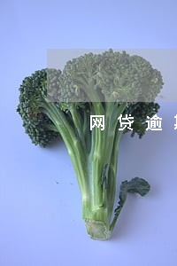 网贷逾期收到很多空白短信 网贷逾期收到很多空白短信