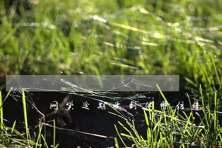 网贷逾期收到律师信件 网贷逾期收到律师信件