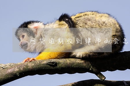 网贷逾期收到律师函会怎样 网贷逾期收到律师函会怎样