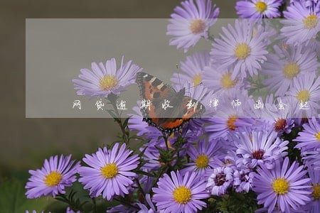 网贷逾期收到律师函会起诉嘛 网贷逾期收到律师函会起诉嘛