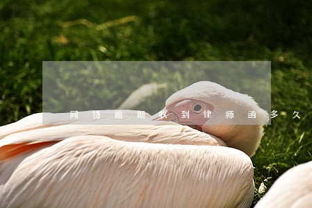 网贷逾期收到律师函多久起诉 网贷逾期收到律师函多久起诉