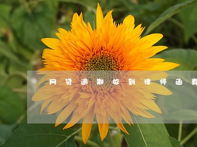 网贷逾期收到律师函真假图 网贷逾期收到律师函真假图
