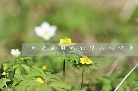 网贷逾期收到律师短信是怎样的 网贷逾期收到律师短信是怎样的