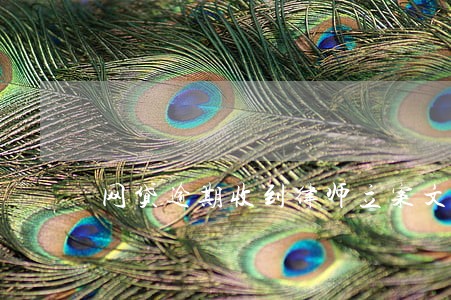 网贷逾期收到律师立案文书 网贷逾期收到律师立案文书
