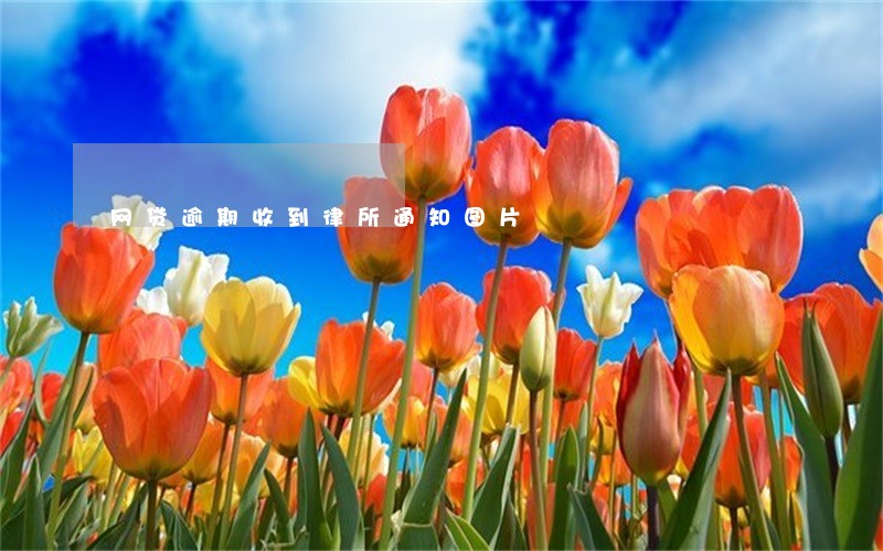 网贷逾期收到律所通知图片 网贷逾期收到律所通知图片