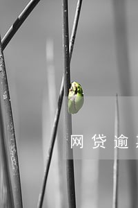 网贷逾期收到快递律师函 网贷逾期收到快递律师函