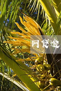 网贷逾期收到恶意短信怎么办 网贷逾期收到恶意短信怎么办
