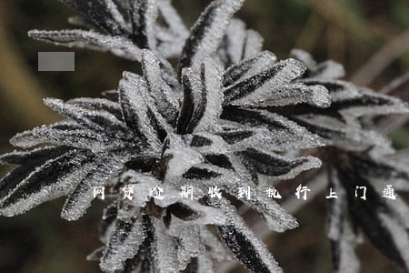 网贷逾期收到执行上门通知怎么办 网贷逾期收到执行上门通知怎么办