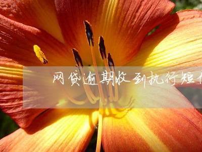 网贷逾期收到执行短信 网贷逾期收到执行短信