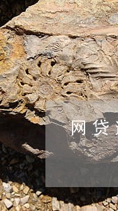 网贷逾期收到报案短信 网贷逾期收到报案短信