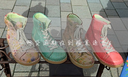 网贷逾期收到报案通告6