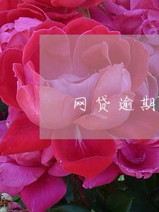 网贷逾期收到报案通告短信 网贷逾期收到报案通告短信