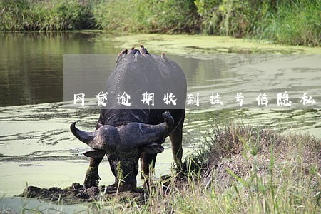 网贷逾期收到挂号信隐私吗 网贷逾期收到挂号信隐私吗