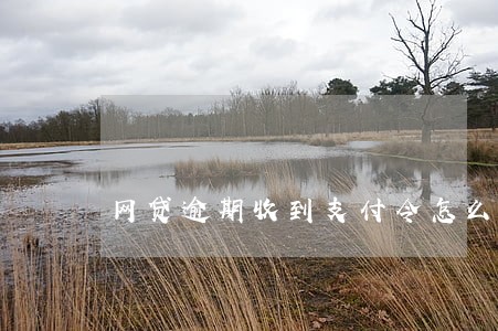 网贷逾期收到支付令怎么办
