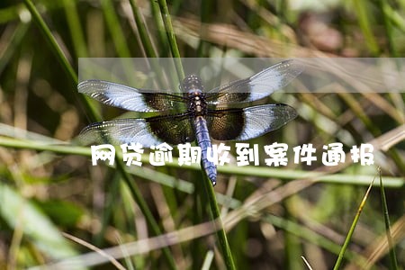 网贷逾期收到案件通报 网贷逾期收到案件通报
