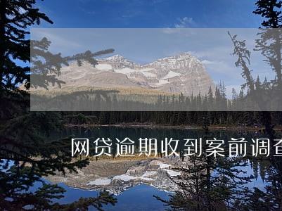 网贷逾期收到案前调查短信