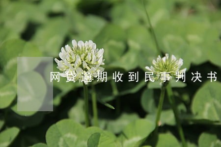 网贷逾期收到民事判决书照片 网贷逾期收到民事判决书照片