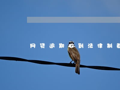 网贷逾期收到法律制裁信息 网贷逾期收到法律制裁信息