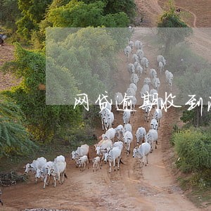网贷逾期收到法院传票怎么办 网贷逾期收到法院传票怎么办