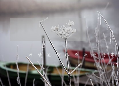 网贷逾期收到法院传票短信 网贷逾期收到法院传票短信