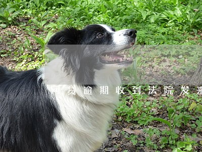网贷逾期收到法院发来的验证码 网贷逾期收到法院发来的验证码