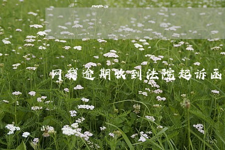 网贷逾期收到法院起诉函短信 网贷逾期收到法院起诉函短信