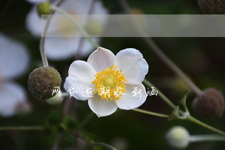 网贷逾期收到涵 网贷逾期收到涵