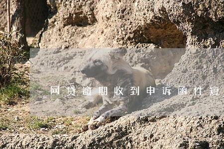 网贷逾期收到申诉函件短信 网贷逾期收到申诉函件短信