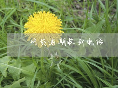 网贷逾期收到电话 网贷逾期收到电话