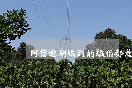 网贷逾期收到的短信都是谐音字 网贷逾期收到的短信都是谐音字