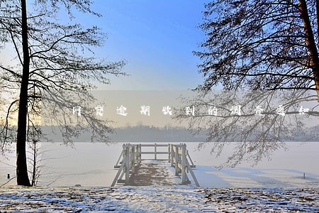 网贷逾期收到的调查通知 网贷逾期收到的调查通知