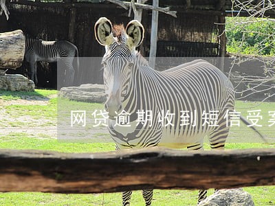 网贷逾期收到短信受案回执 网贷逾期收到短信受案回执