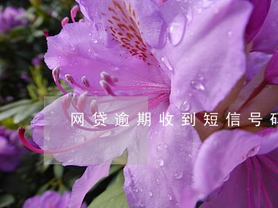 网贷逾期收到短信号码是多少 网贷逾期收到短信号码是多少