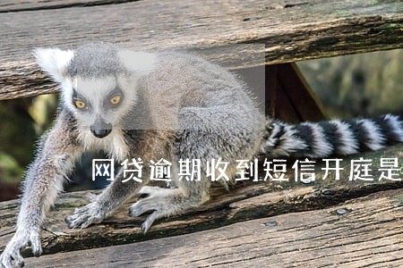 网贷逾期收到短信开庭是真的吗