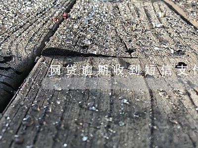 网贷逾期收到短信支付令 网贷逾期收到短信支付令