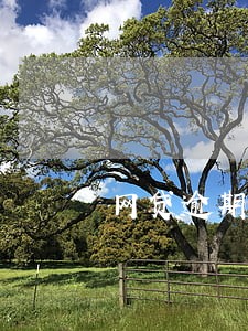 网贷逾期收到短信立案诉讼通知 网贷逾期收到短信立案诉讼通知