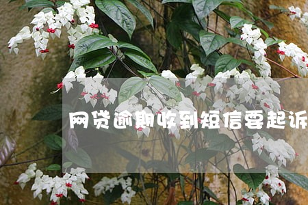 网贷逾期收到短信要起诉 网贷逾期收到短信要起诉